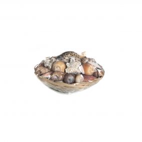 Conchiglie assortite con cestino