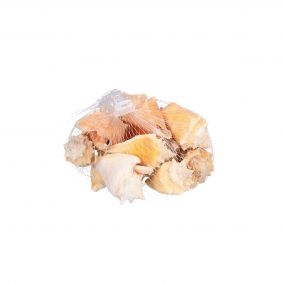 Sacchetto conchiglie miste