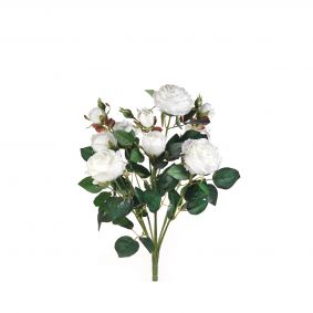 Bush 10 rami rosapeonia chic bianco