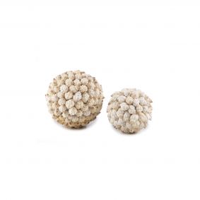 Sfera conchiglie miste bianche