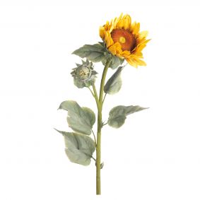 Ramo di girasole con fiore e boccio