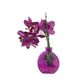 Orchidea in vaso di vetro viola