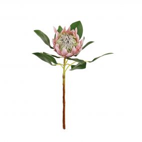 Ramo protea rosa