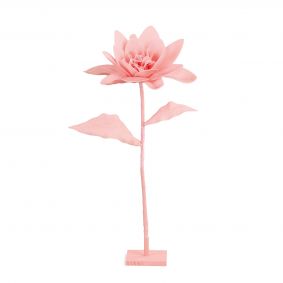 Ninfea rosa con stelo e base