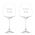Set 2 calici "Un goccio di vino"