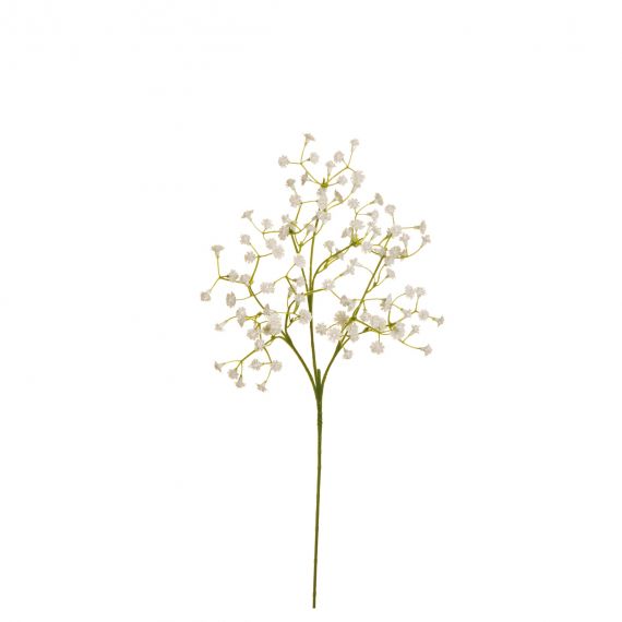 6 rami gypsophila con 108 fiori bianchi