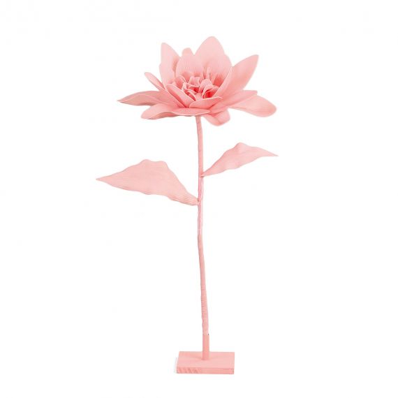 Ninfea rosa con stelo e base