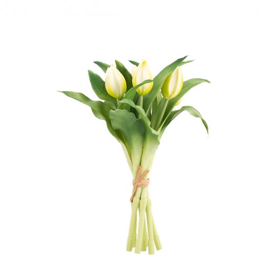Mazzo  di tulipani bianco