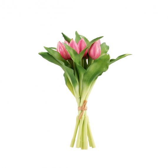 Mazzo 7 tulipani rosa scuro